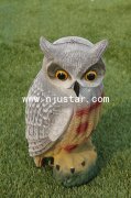 Owl R001