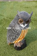Owl R007