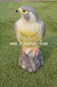 Eagle R020