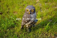 Owl R023