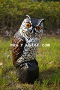 Owl R025