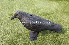 Crow S011