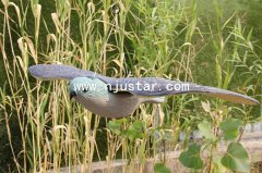 Bird S004