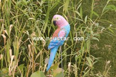 Magpie S028