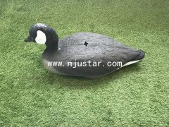 Goose S034