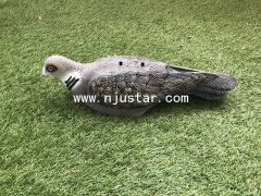 Pigeon S039