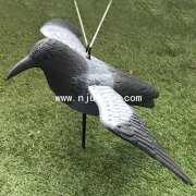 Crow S042