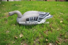 Goose N005