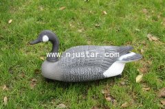 Goose N006