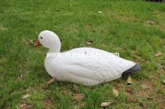 Goose N008