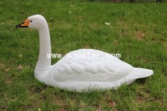 Goose N009