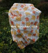 Printing bag PO042