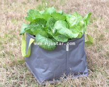 Planter bag PPOO2