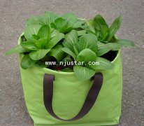 Planter bag PPOO4