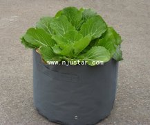 Planter bag PP005