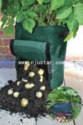 Potato bag PP015