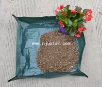 Planter  PP019