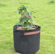 Planter  PP020