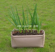 Planter  PP021