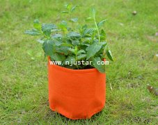 Planter  PP023