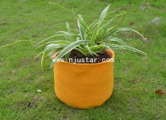 Planter  PP025