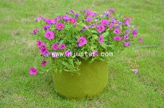 Planter PP026