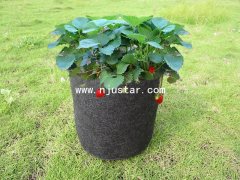 Planter  PP029